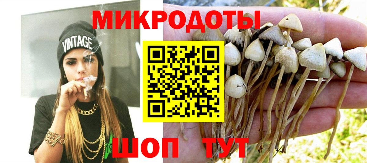 Галлюциногенные грибы Psilocybine cubensis Миасс